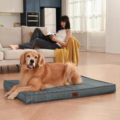 Orthopedic Memory Foam Dog Bed