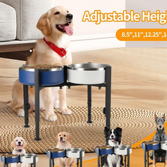 Height-Adjustable Dog Feeder